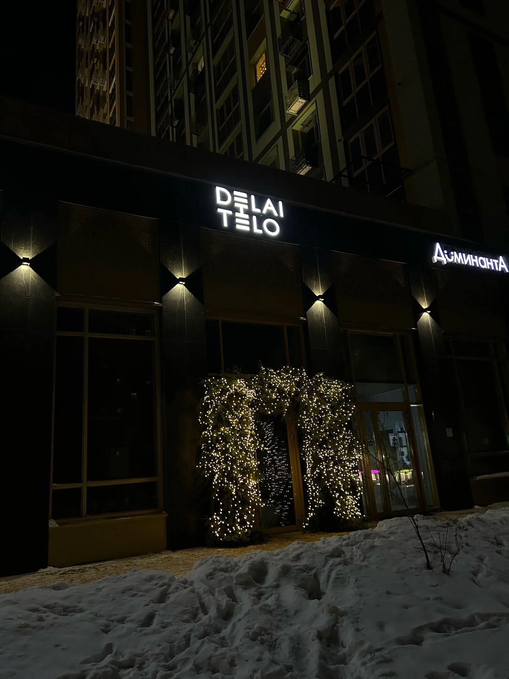 Вход в зимнем новогоднем оформлении: пышные еловые и сосновые ветви обрамляют дверь, среди них мерцают тёплые гирлянды и тонкие голые ветки.