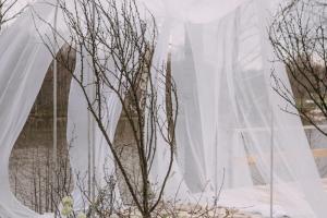 Свадебная фотография