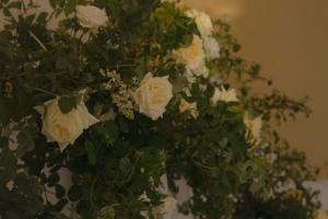 Свадебная фотография