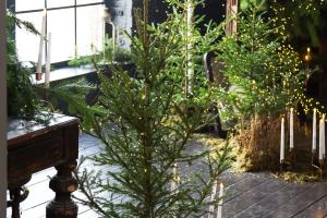 Свадебная фотография