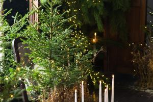 Свадебная фотография