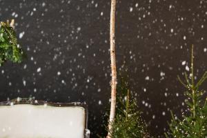 Свадебная фотография