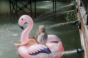 Свадебная фотография