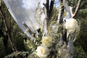 Свадебная фотография