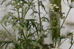 Свадебная фотография