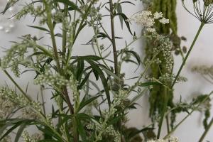 Свадебная фотография